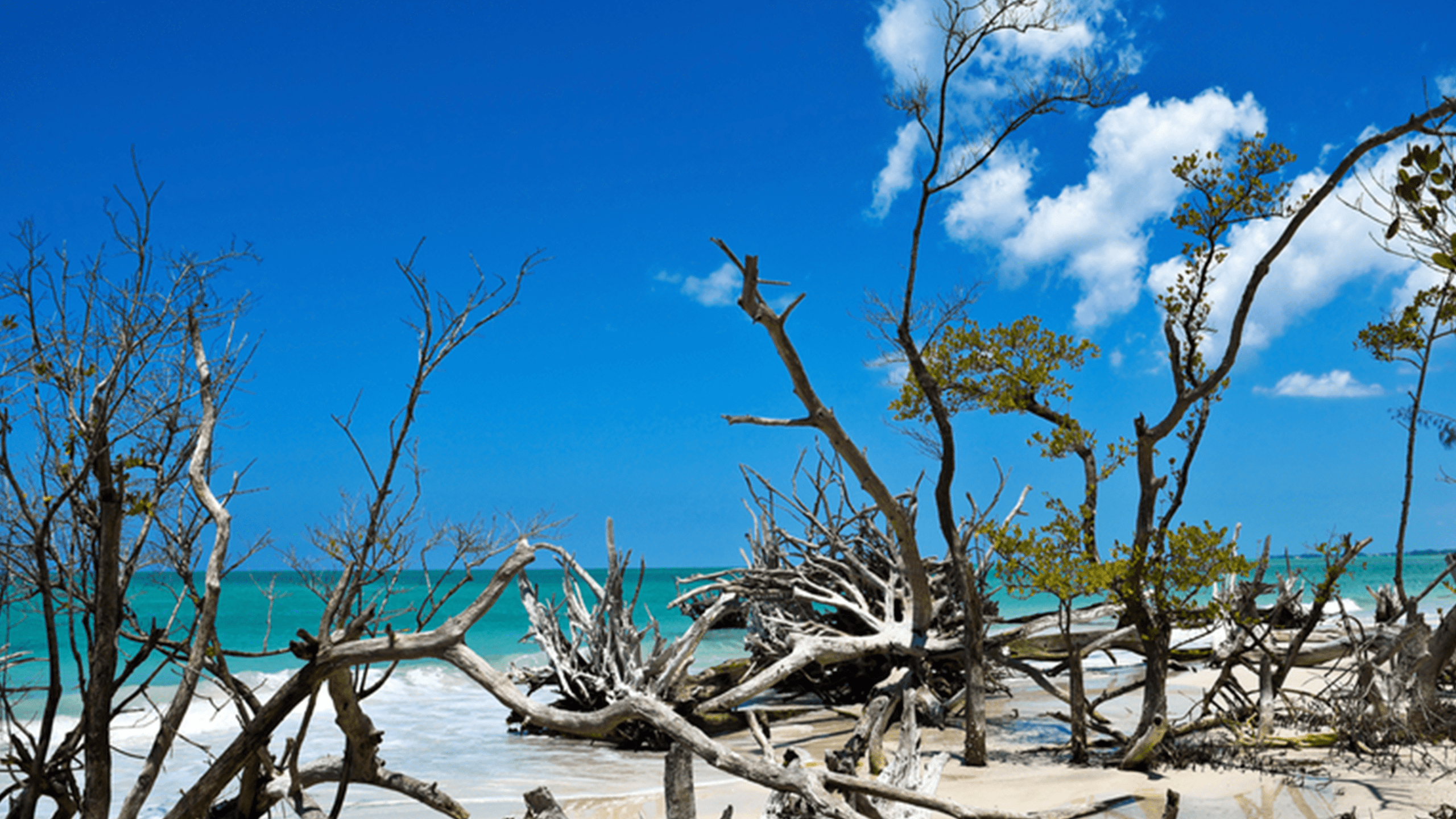 Island Hopping Image